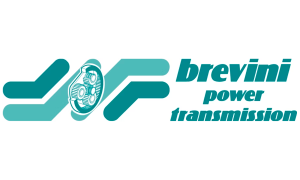 Briveni Power Transmission - Logo Png